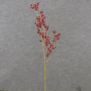 28.5" BERRY SPRAY X3 DARK RED