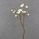 29.5" MAGNOLIA SPRAY X2 CREAM/GREEN