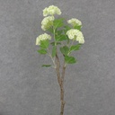 31.5&quot; SNOWBALL HYDRANGEA BRANCH X5 CREAM
