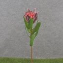 19" ARTICHOKE STEM BURGUNDY