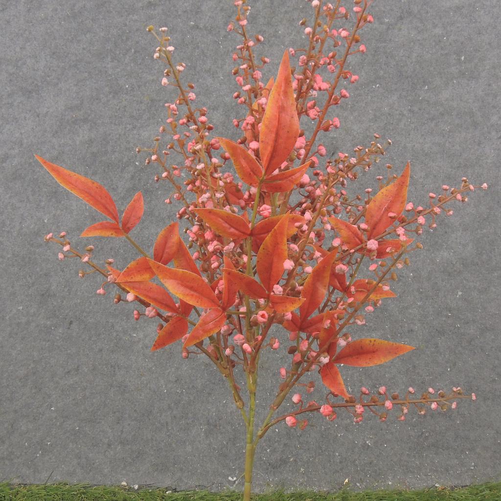 [SE2536-BEA] 16" SEEDED STEM X3 BEAUTY