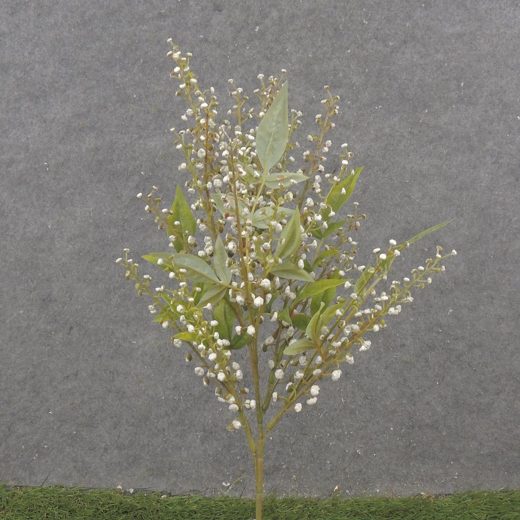 16" SEEDED STEM X3 WHITE