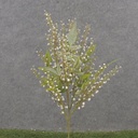 16" SEEDED STEM X3 WHITE