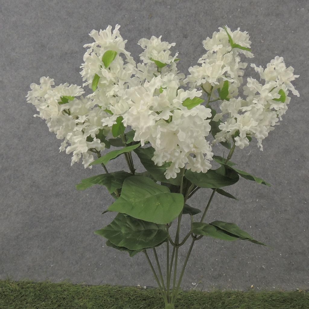 19" LILAC BUSH X6 WHITE