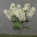 19" LILAC BUSH X6 WHITE