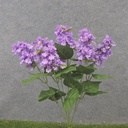 19" LILAC BUSH X6 LAVENDER