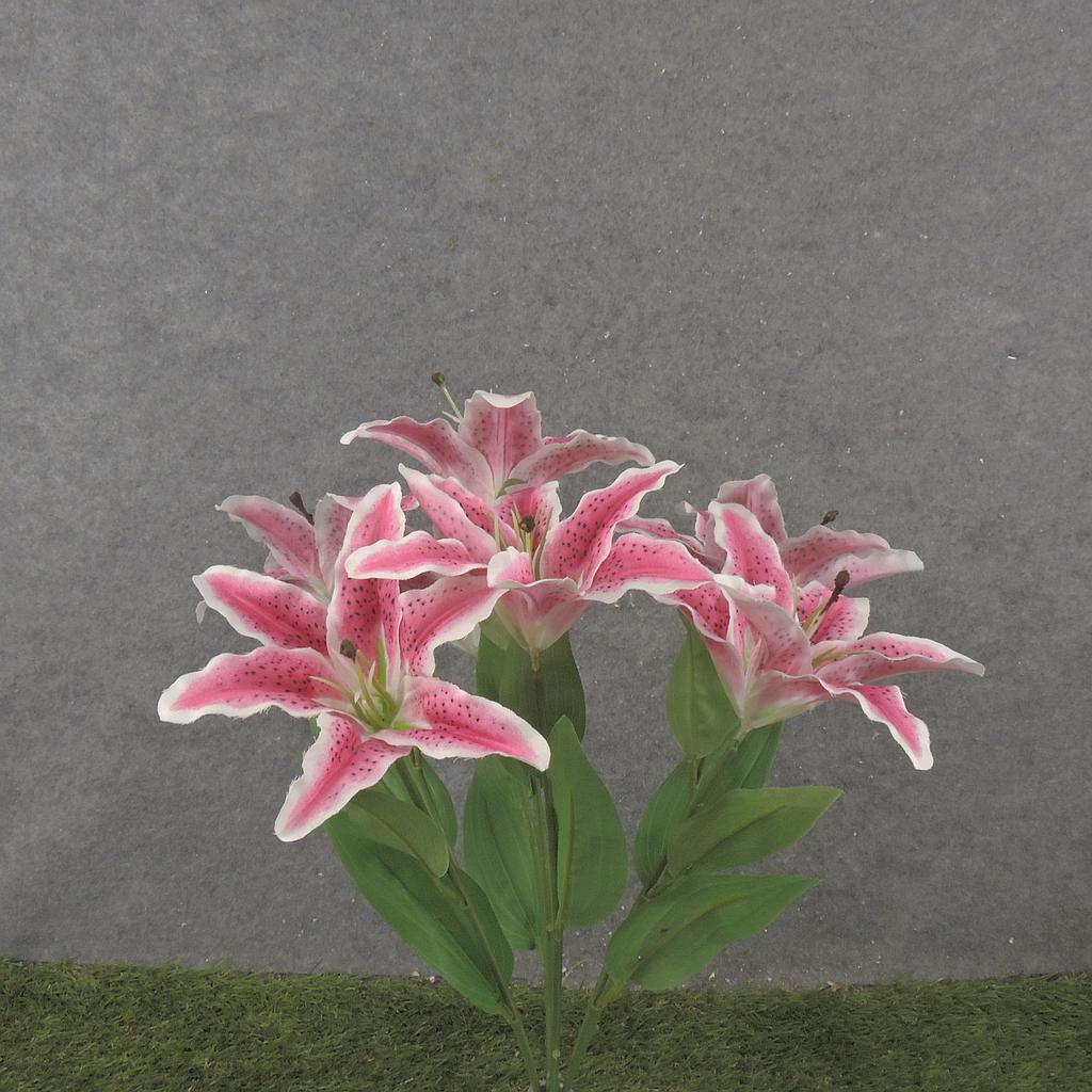 [SB2336-RUB] 20" LILY BUSH X7 RUBRUM