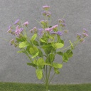 19" MINI QUEEN ANNE'S LACE BUSH X10 PURPLE
