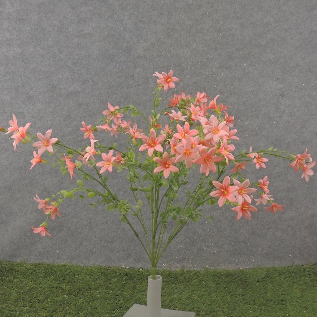 20" WAXFLOWER BUSH X10 PEACH