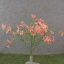20" WAXFLOWER BUSH X10 PEACH