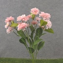 18" ZINNIA BUSH X5 PINK