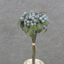 11" BERRY BUNDLE X5 BLUE
