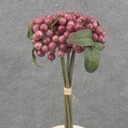 11" BERRY BUNDLE X5 PURPLE/MAUVE