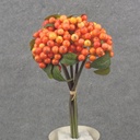11" BERRY BUNDLE X5 ORANGE/YELLOW