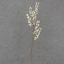 39.5&quot; BERRY TWIG SPRAY CREAM