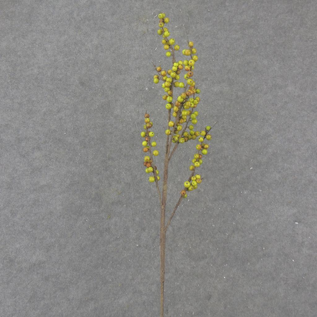 39.5" BERRY TWIG SPRAY GREEN/RED