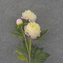 28.5" PEONY STEM X2 CREAM/YELLOW/PINK