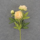 28.5" PEONY STEM X2 YELLOW/PEACH