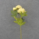 28.5&quot; PEONY STEM X2 LIGHT YELLOW