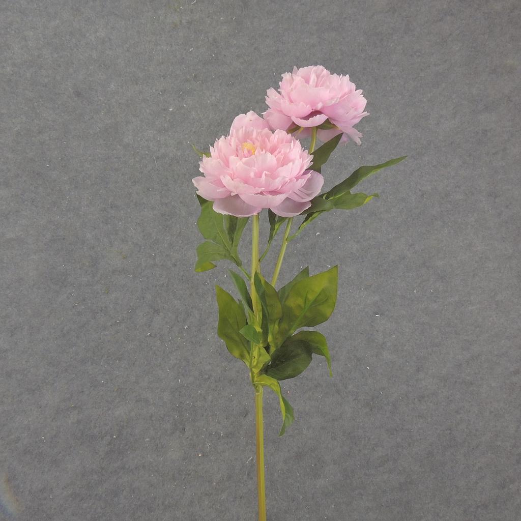 28.5" PEONY STEM X2 PINK