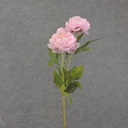 28.5" PEONY STEM X2 PINK