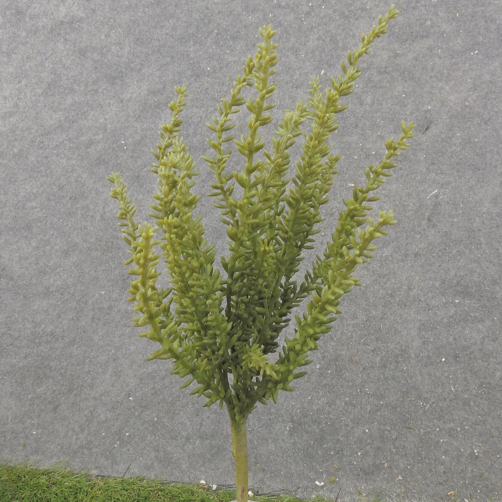 13&quot; ROSEMARY BUSH X7 (REAL TOUCH)