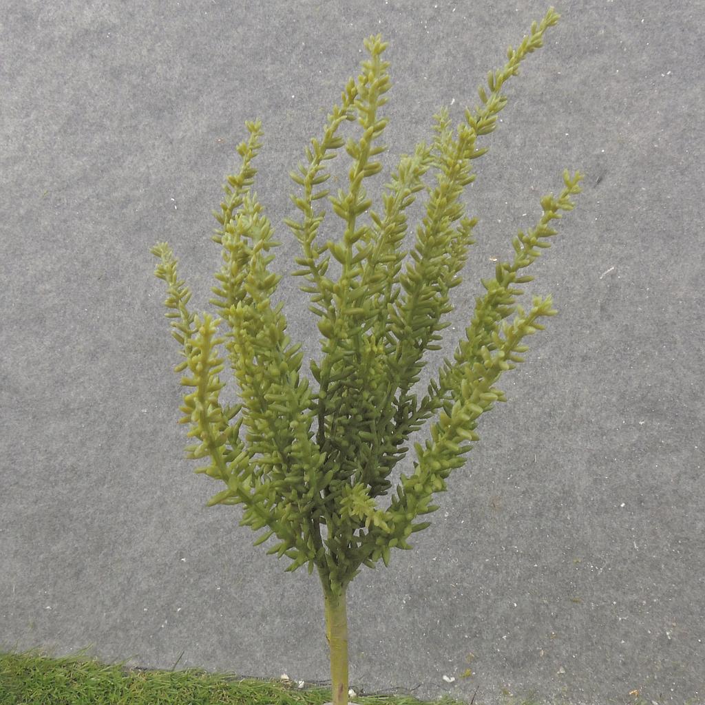 [SB2364] 13" ROSEMARY BUSH X7 (REAL TOUCH)