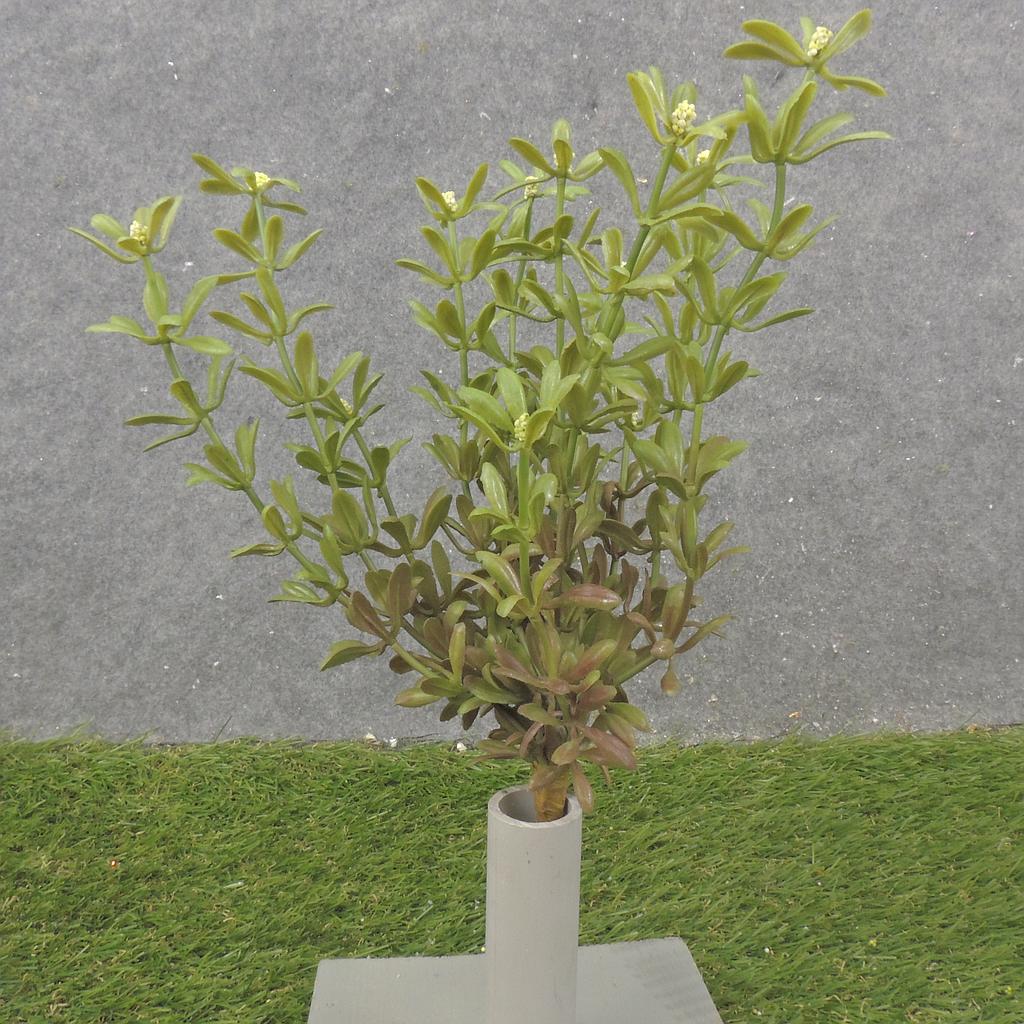 11&quot; MYRTLE BUSH X12 GREEN (REAL TOUCH)