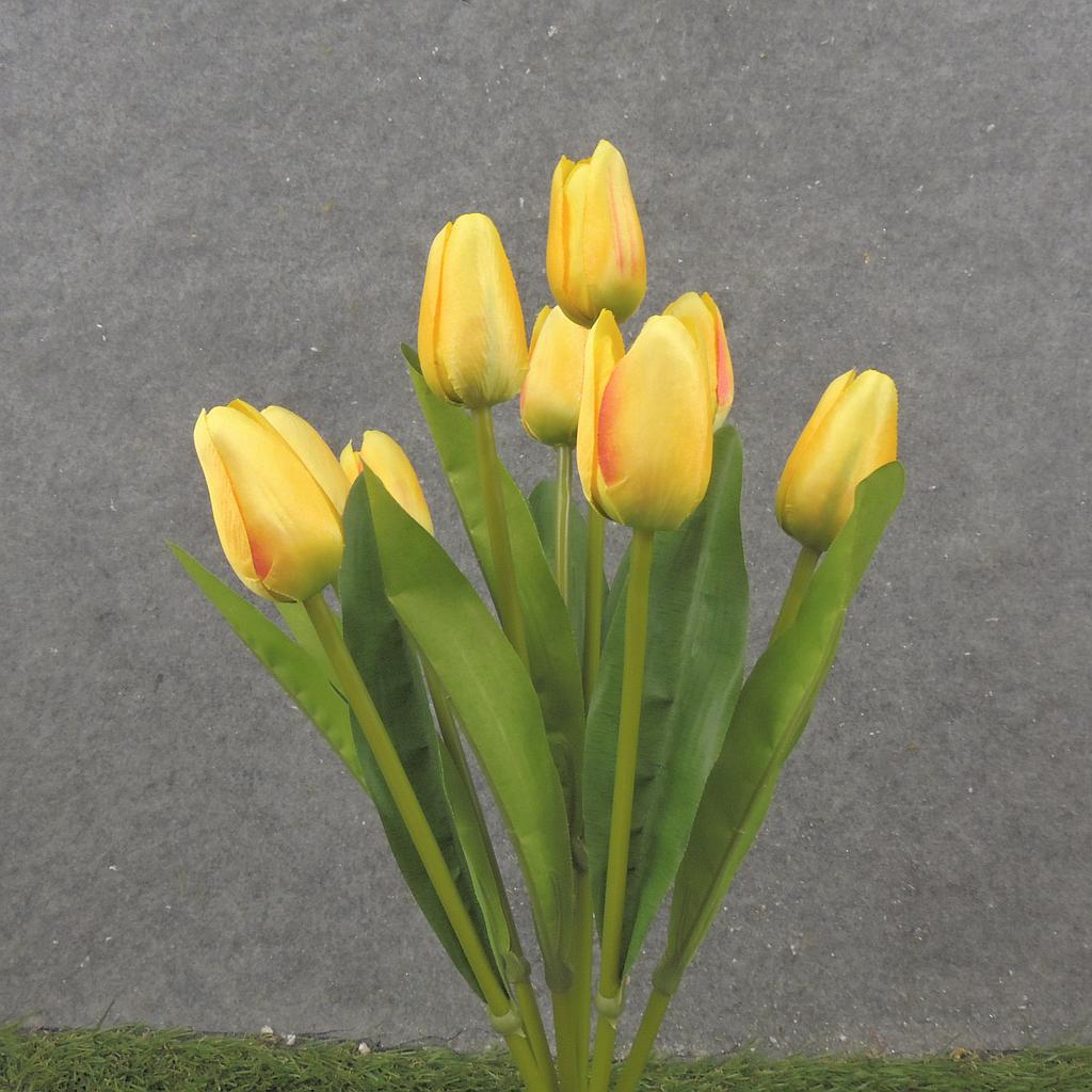 16" TULIP BUSH X9 YELLOW
