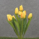 16" TULIP BUSH X9 YELLOW