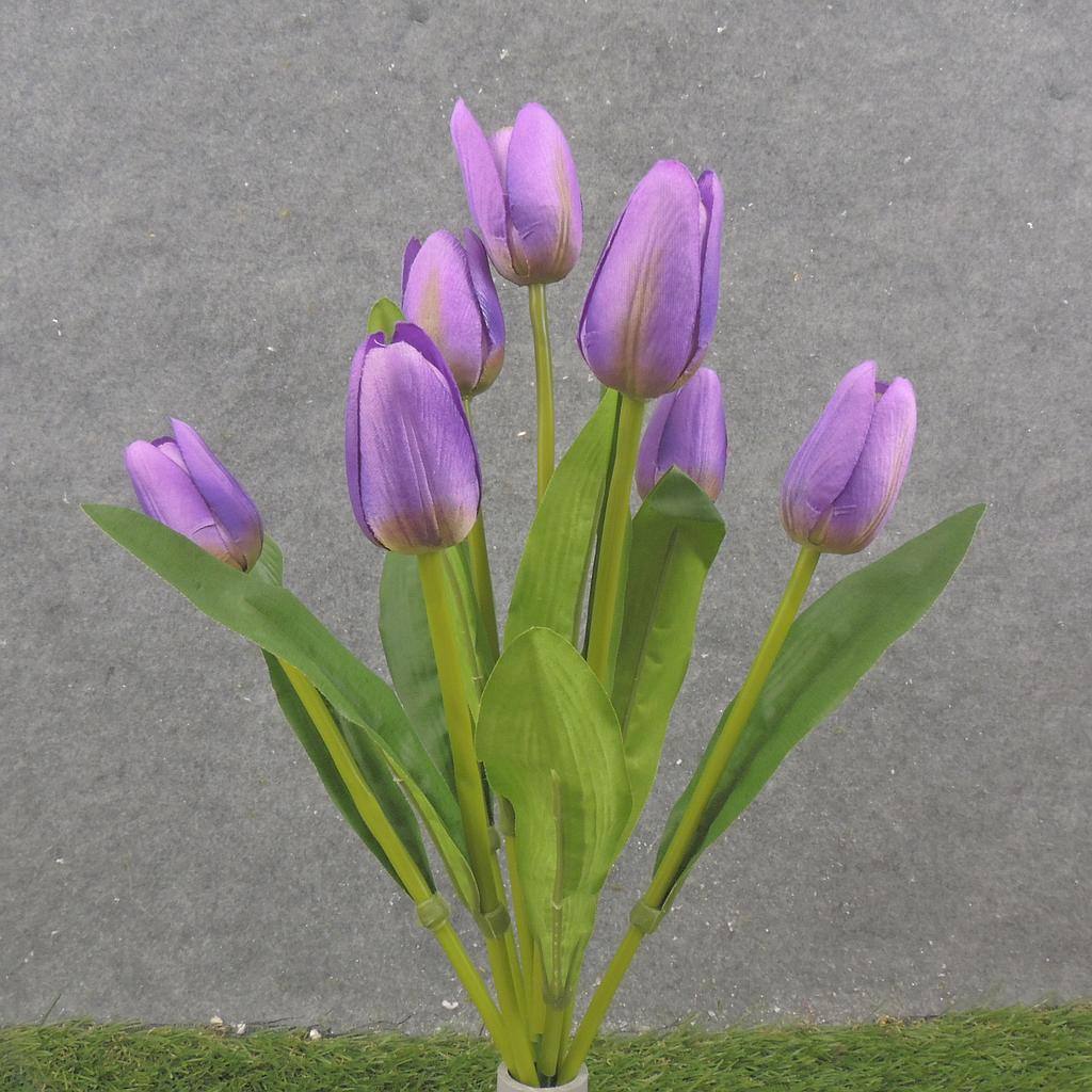 16" TULIP BUSH X9 PURPLE
