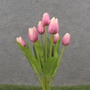 16" TULIP BUSH X9 PINK