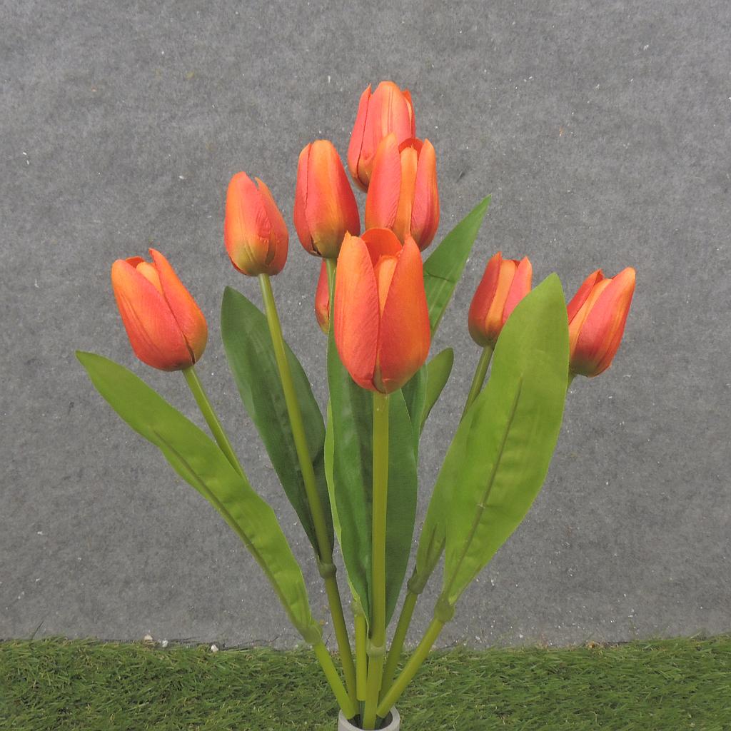 16" TULIP BUSH X9 ORANGE