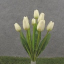 16" TULIP BUSH X9 CREAM