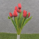 16" TULIP BUSH X9 RED