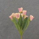 17" PARROT TULIP BUSH X9 CREAM/PINK