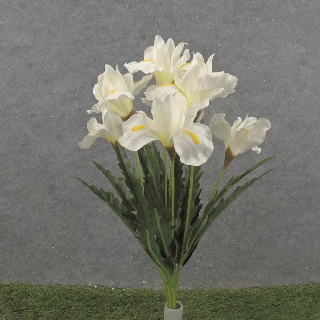 [SB2378-CRM] 19" IRIS BUSH X7 CREAM