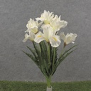 19&quot; IRIS BUSH X7 CREAM