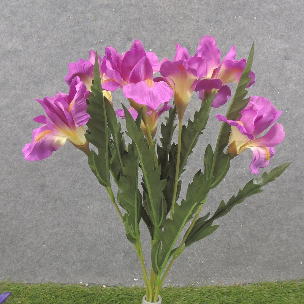 [SB2378-FUS] 19" IRIS BUSH X7 FUCHSIA