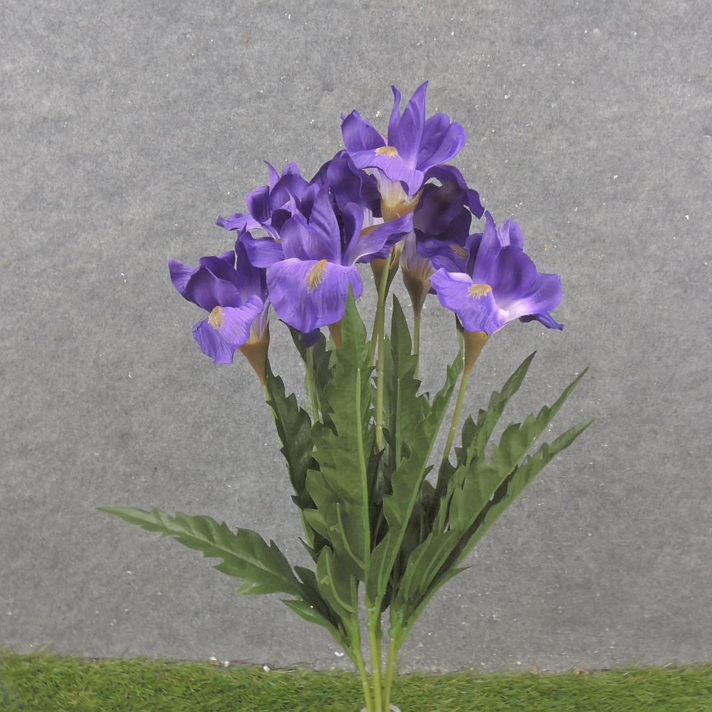 19" IRIS BUSH X7 PURPLE