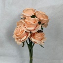 OPEN ROSE BUNDLE X6 PEACH
