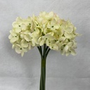 11" HYDRANGEA BUNDLE X6 CHAMPAGNE