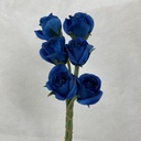 ROSE BUD BUNDLE X6 ROYAL