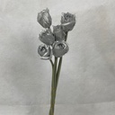 ROSE BUD BUNDLE X6 SILVER
