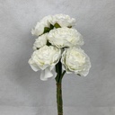 RANUNCULUS BUNDLE X6 WHITE