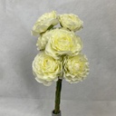 RANUNCULUS BUNDLE X6 CREAM