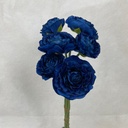 RANUNCULUS BUNDLE X6 ROYAL