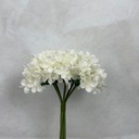 11" WAXFLOWER BUNDLE X6 WHITE