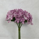 11" WAXFLOWER BUNDLE X6 LAVENDER