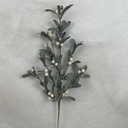24&quot; FROSTED MISTLETOE SPRAY